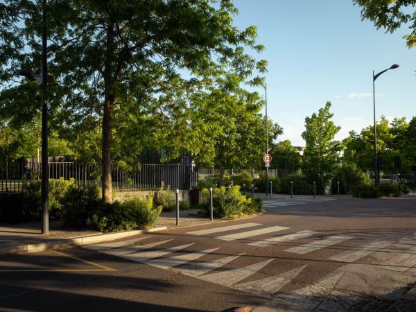 Comprendre l'écologie urbaine : définition et importance