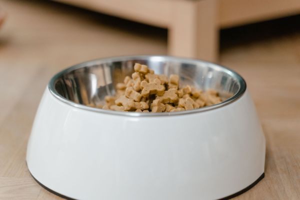 Croquettes sans céréales : pour le bien-être et la vitalité de votre chien